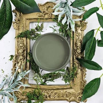 Basil - Paint Couture!