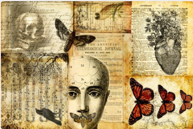 Halloween Masterboard - Roycycled Decoupage Paper