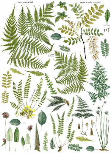 Fronds Botanical Decor Transfer™ pad