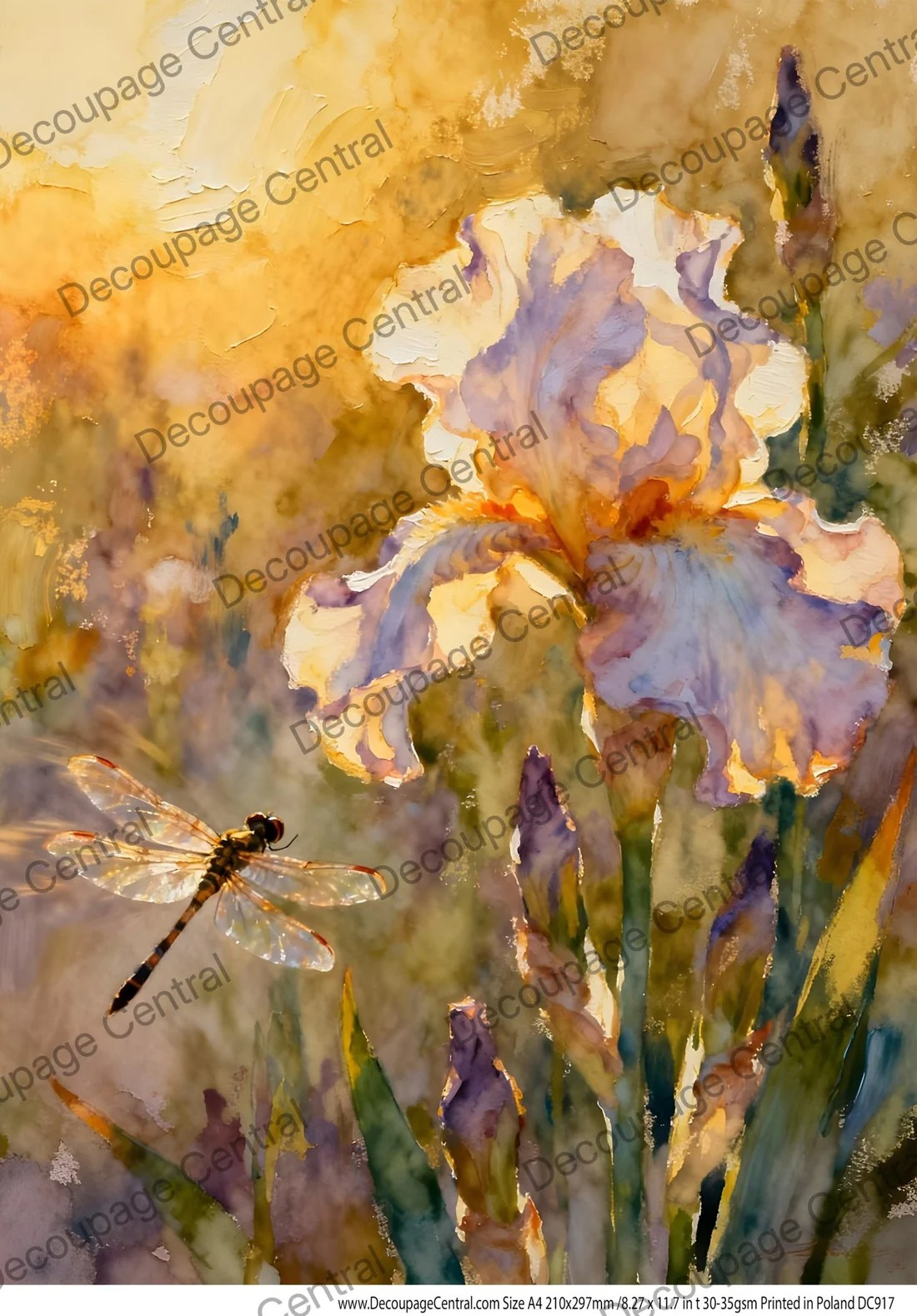 DC917 - Golden Iris & Dragonfly Decoupage A4 Rice Paper