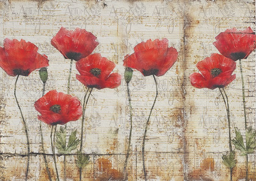 Paper Red Poppies - 1