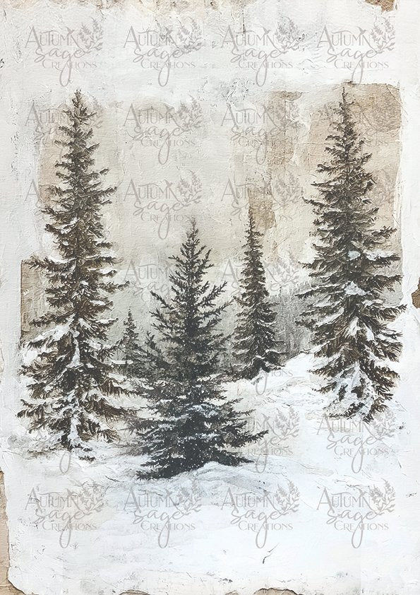 Pine Grove - 1