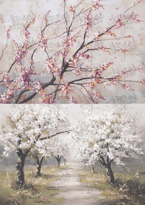 6737fb6ea093714fdb79f0c6_asc0726-soft-blooms_1772663029385.jpg