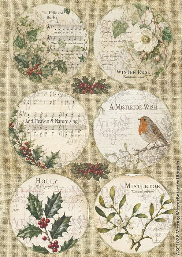 6737fb6ea093714fdb79f0c6_asc1926vintagewinterbotanicalrounds_1792792799971.jpg