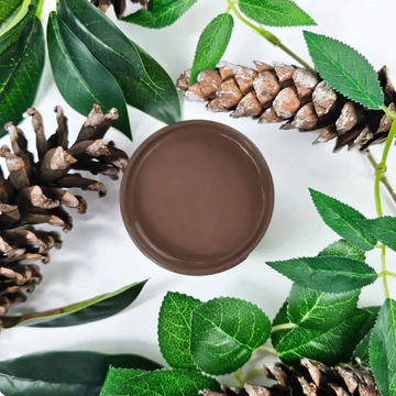 Pinecone - Paint Couture!