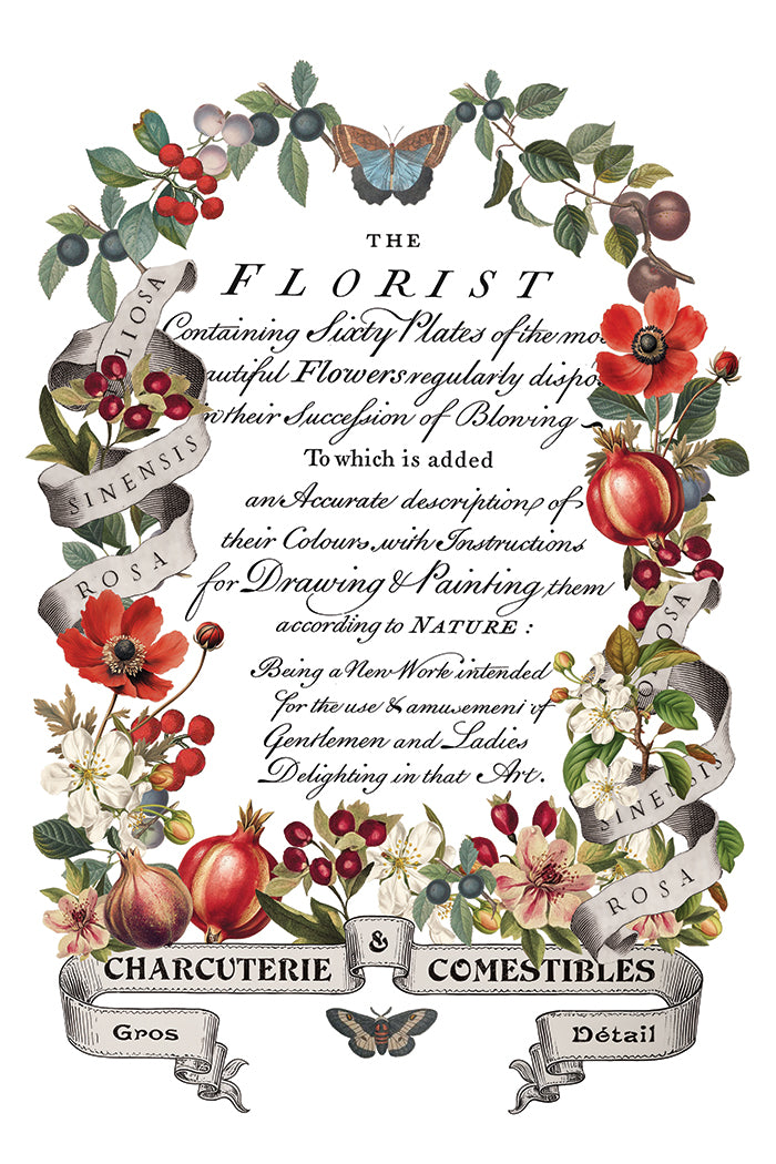 Clementine 8x12 IOD Transfer