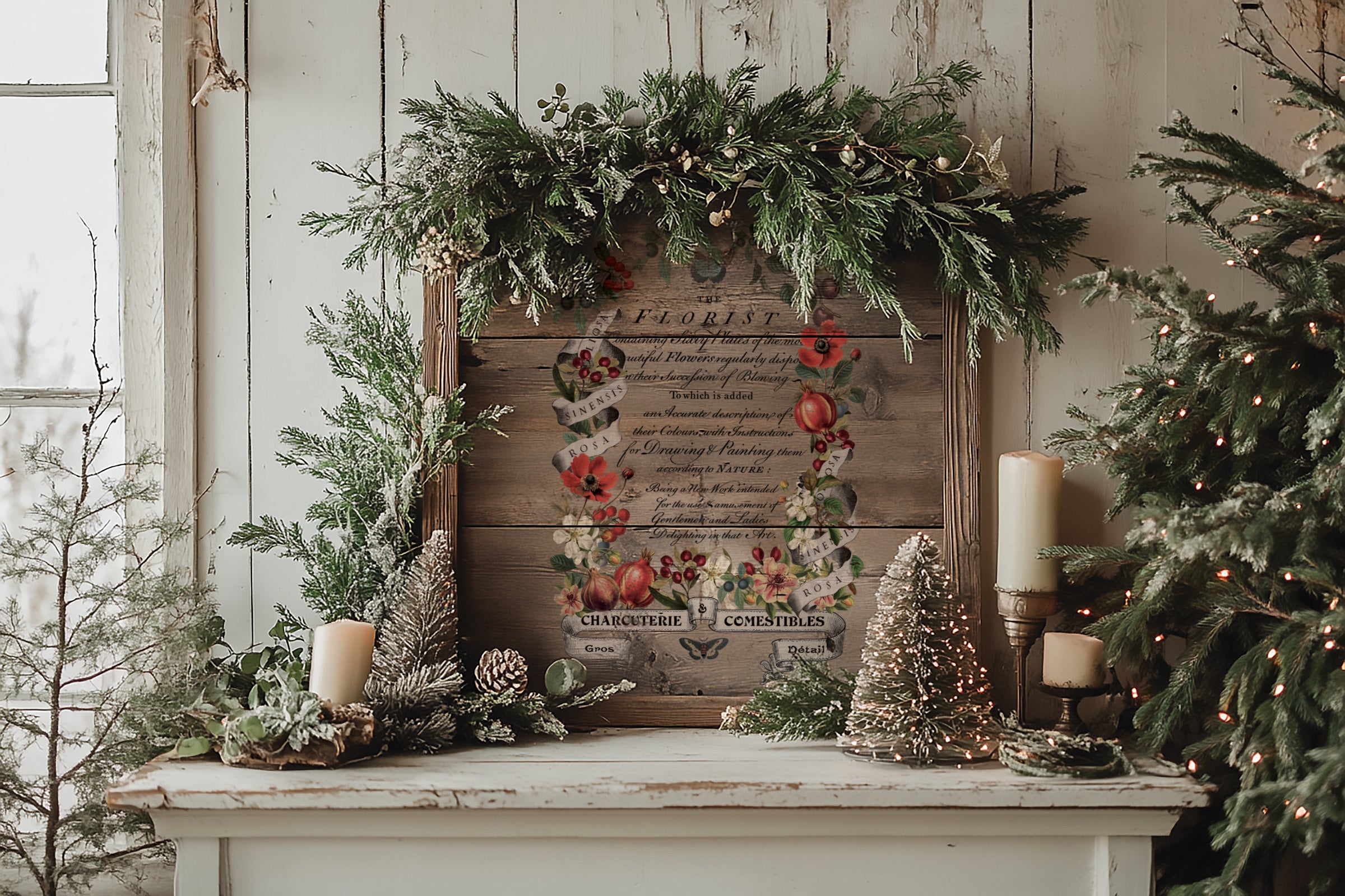 Clementine 8x12 IOD Transfer