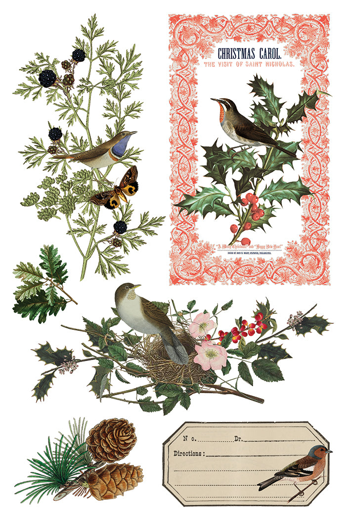 Winter Botanist 8x12 IOD Transfer