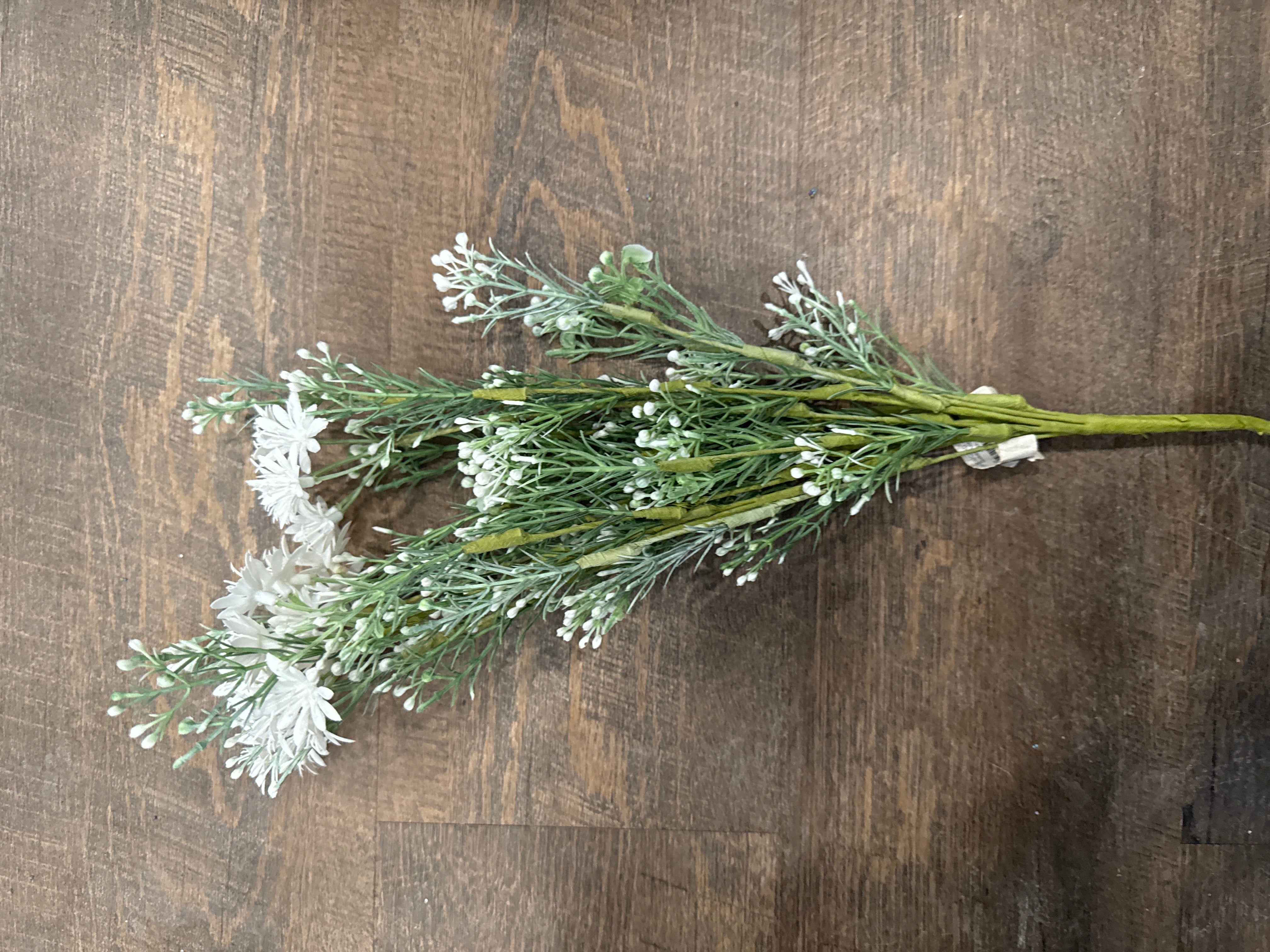 Queen Ann Lace - White