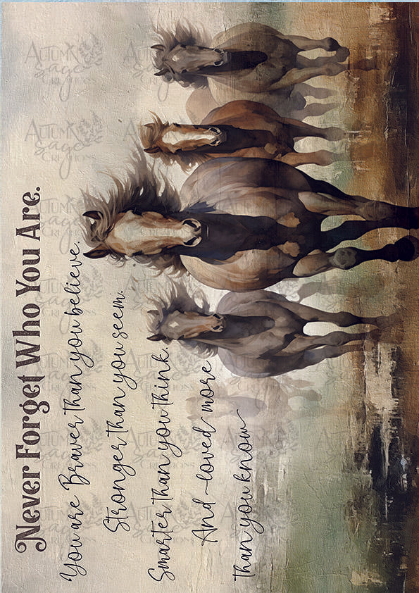 Never Forget A4 Decoupage Paper by Autumn Sage Creations