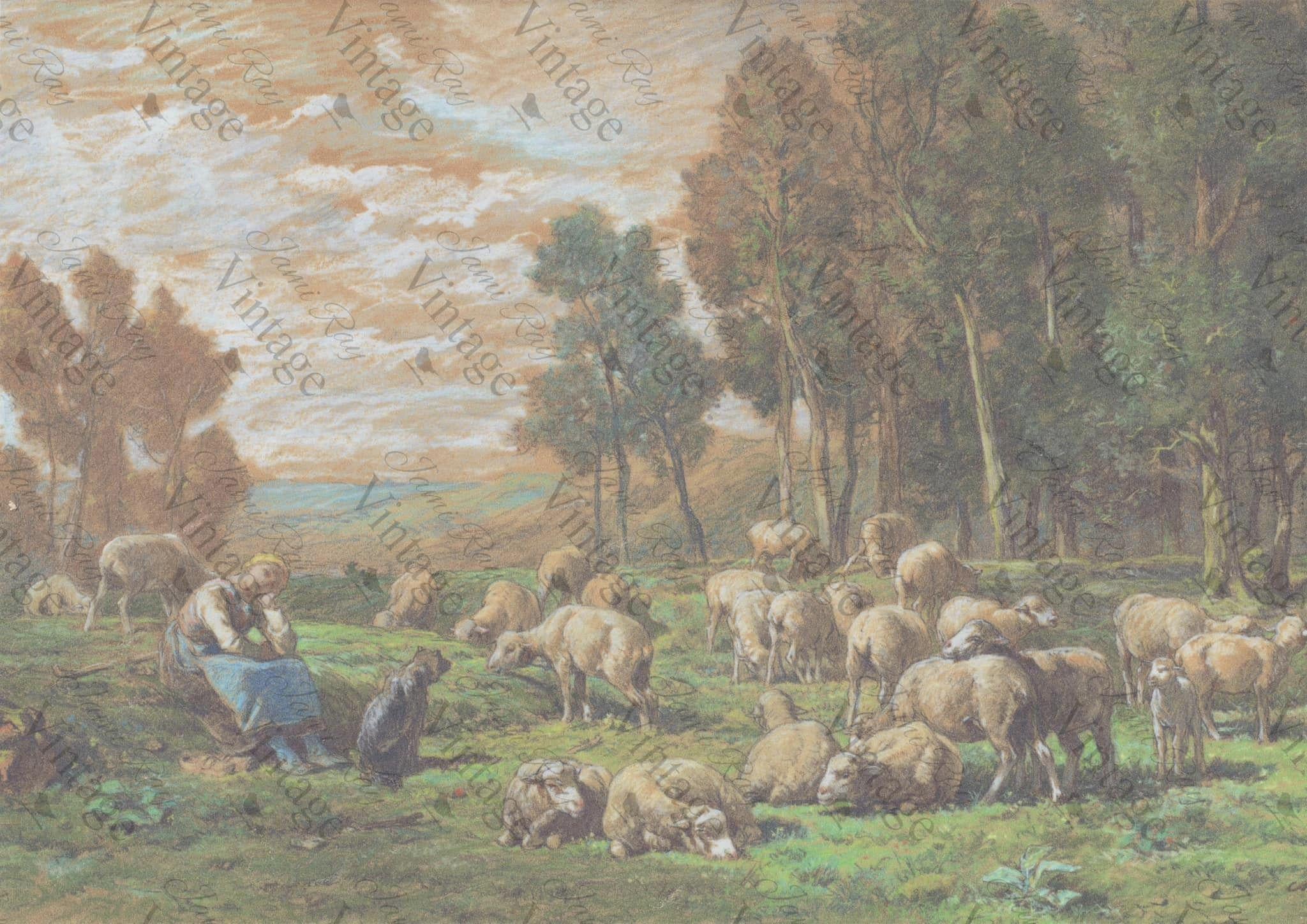 Pastoral Sheep| JRV A4 Rice Paper