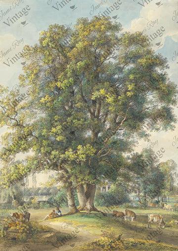 Cows Under a Tree | JRV A4 Rice Paper