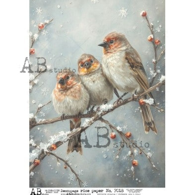 No. 7018 Crimson Browed Finches Decoupage Rice Paper A4 by AB Studio