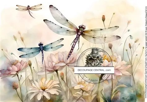 DC233 - Dragonfly Fields Decoupage A4 Rice Paper
