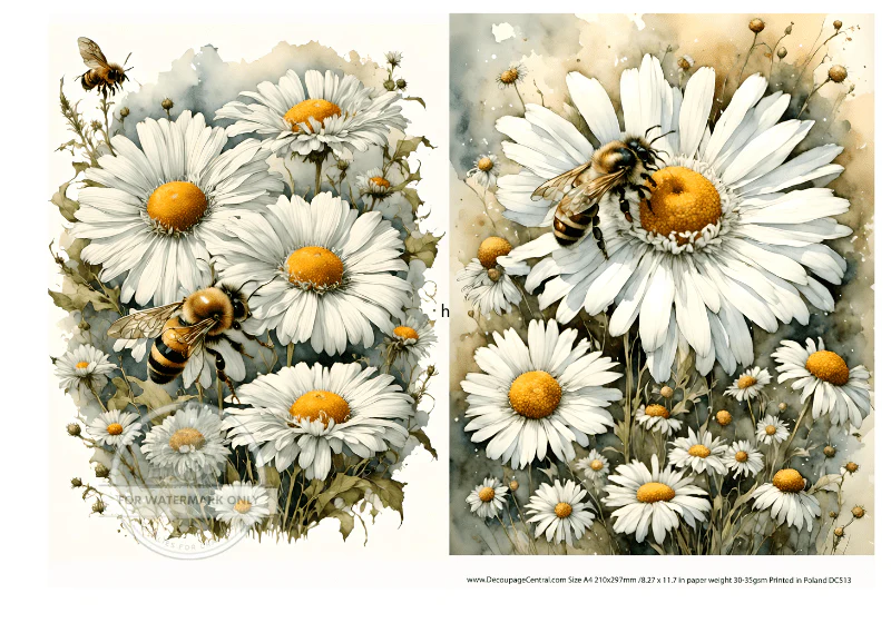 DC513 Daisies and Bees Duo A4 Rice Paper