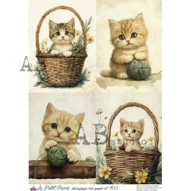 LPP No. 495 A4 Rice Paper - Le Petit Paris