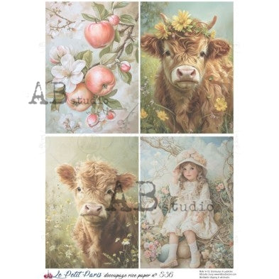 LPP No. 536 A4 Rice Paper - Le Petit Paris