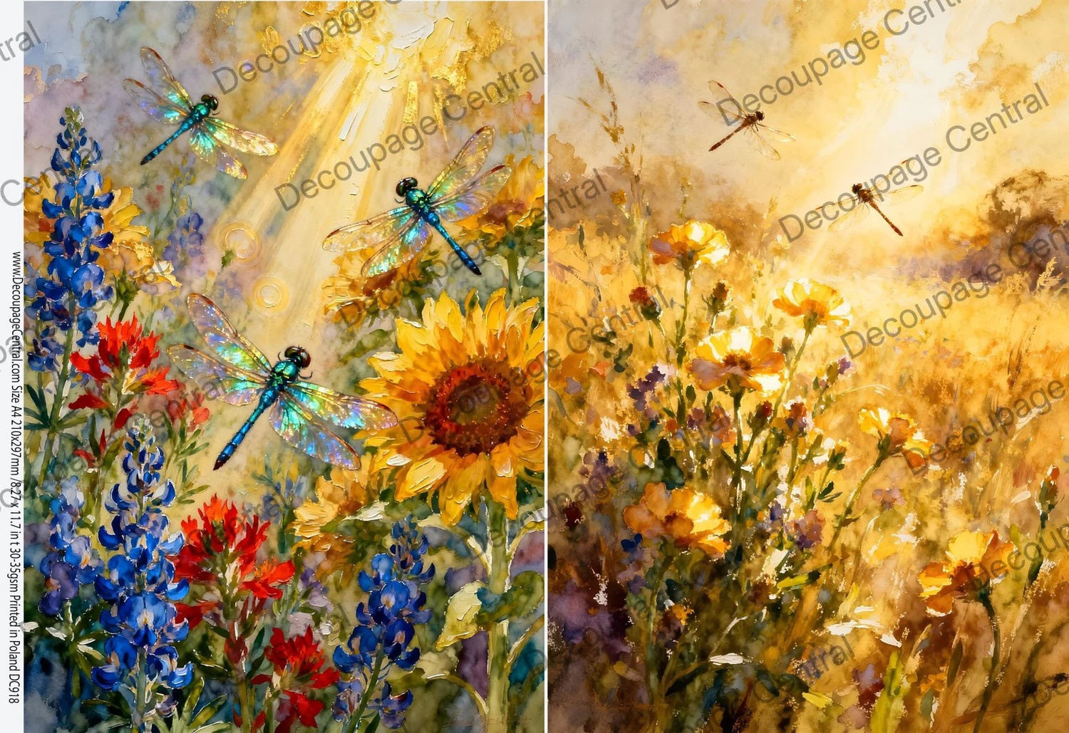 DC918 Dragonflies in Sunlight A4 Rice Paper