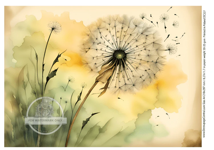 DC227 - Dandelions Decoupage A4 Rice Paper