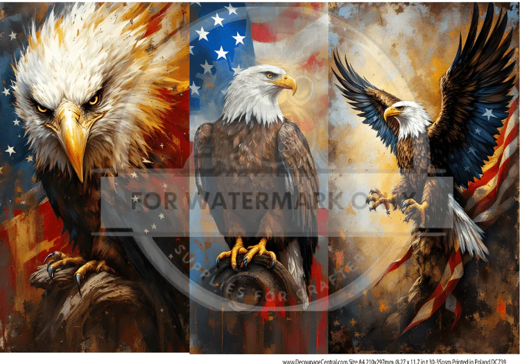 DC739 Patriotic Eagle Trio A4 Rice Paper