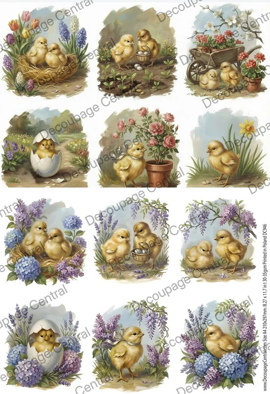 DC946 Little Chicks A4 Rice Paper