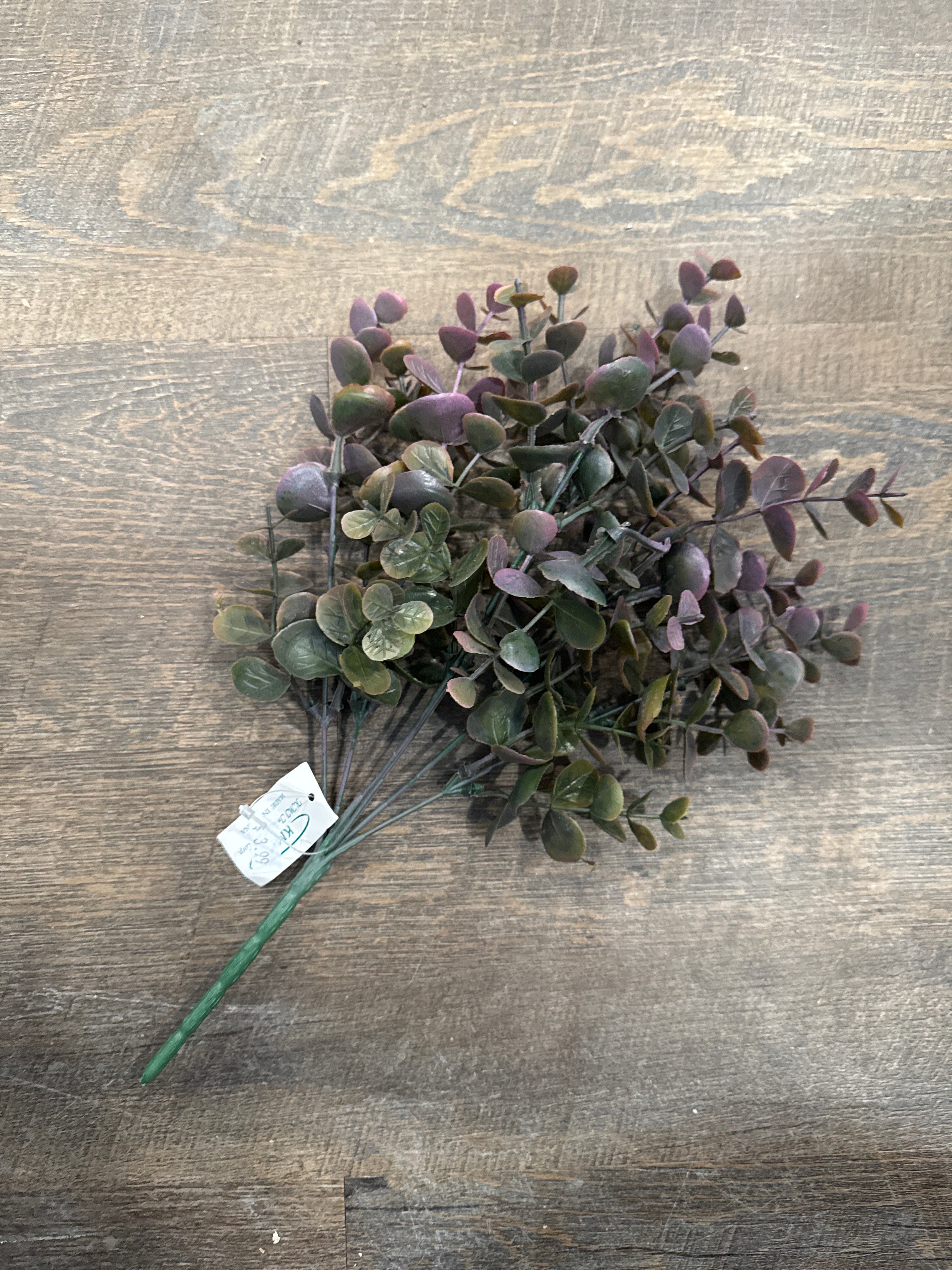 Purple Eucalyptus Pick