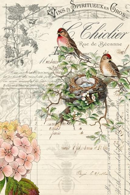 Bird Ephemera - Roycycled Decoupage Paper