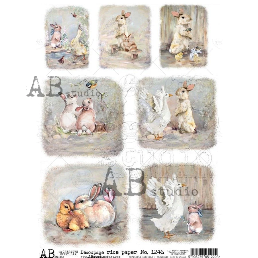 No. 1246 Rabbits Standing and Relaxing with Ducks Cards by AB Studio