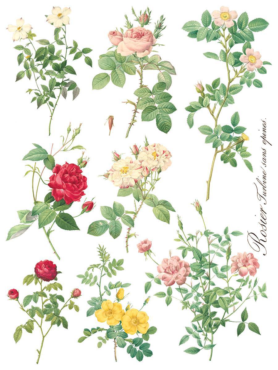 Rose Botanical 12x16 IOD Transfer 8 Pg Pad