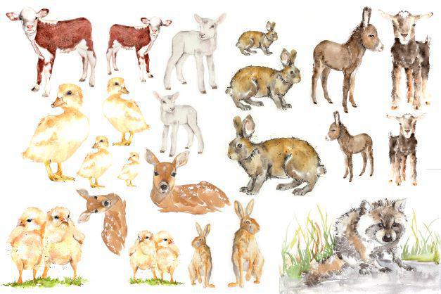 Baby Animals - Roycycled Decoupage Paper by Lexi Grenzer