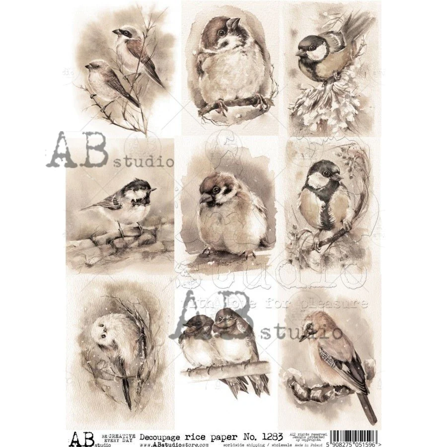 No. 1283 Bird Cards Decoupage Rice Paper A4 by AB Studio