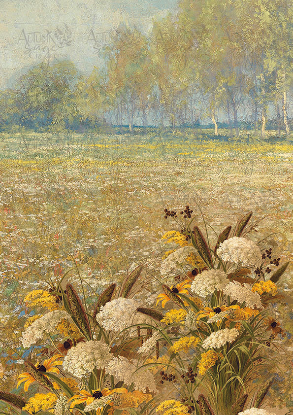 Queen Anne's Meadow A4 - Digital Download