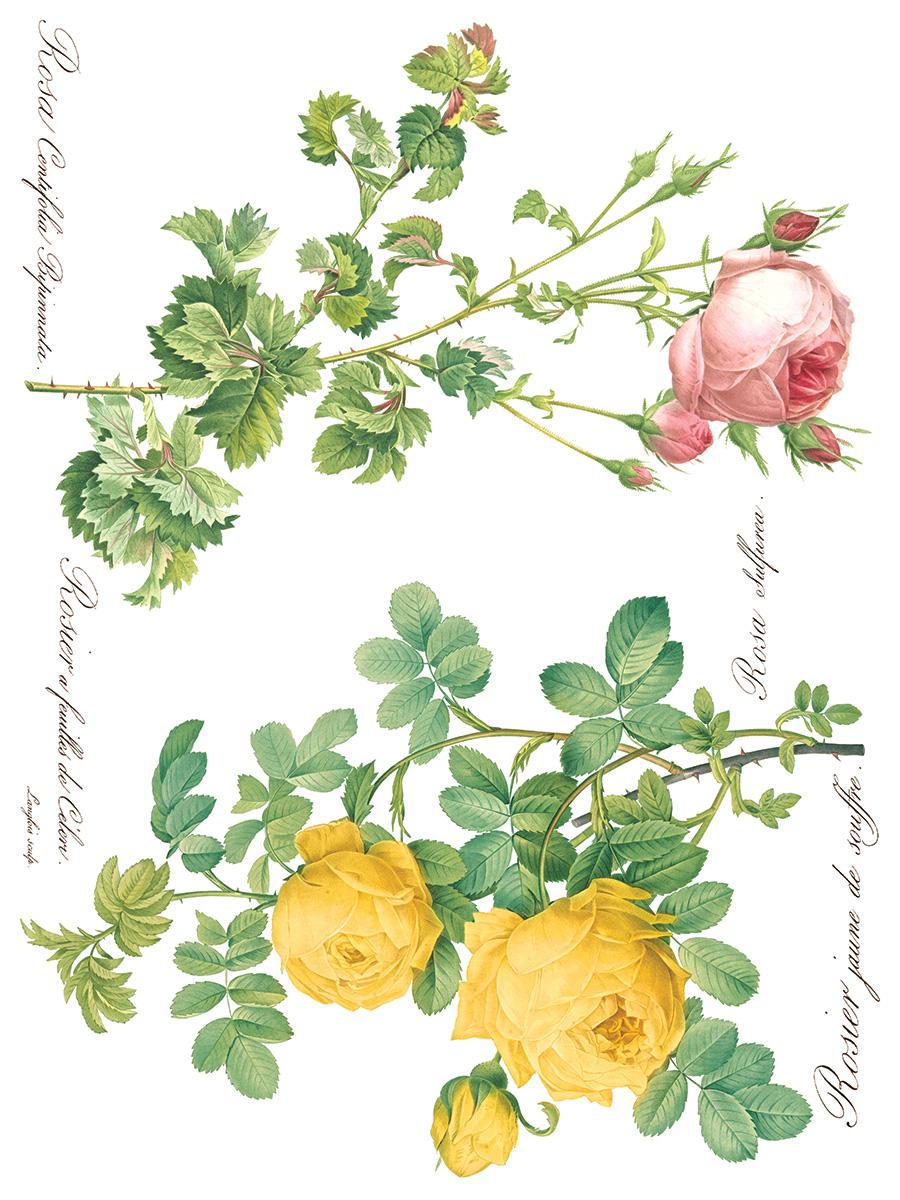 Rose Botanical 12x16 IOD Transfer 8 Pg Pad