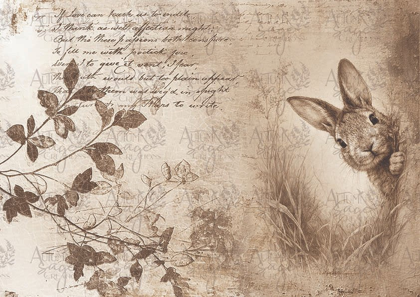 6737fb6ea093714fdb79f0c6_asc1326-sepia-bunny-script_1772662177343.jpg