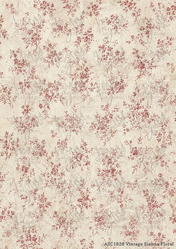 6737fb6ea093714fdb79f0c6_asc1826vintage-sienna-floral_1792791763467.jpg