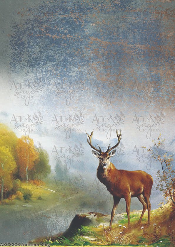 6737fb6ea093714fdb79f0c6_asc2226autumnstag_1793237062195.jpg