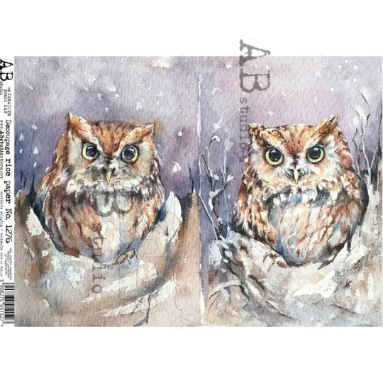 No. 1276 Two Burrowing Owls Decoupage Rice Paper A4 by AB Studio