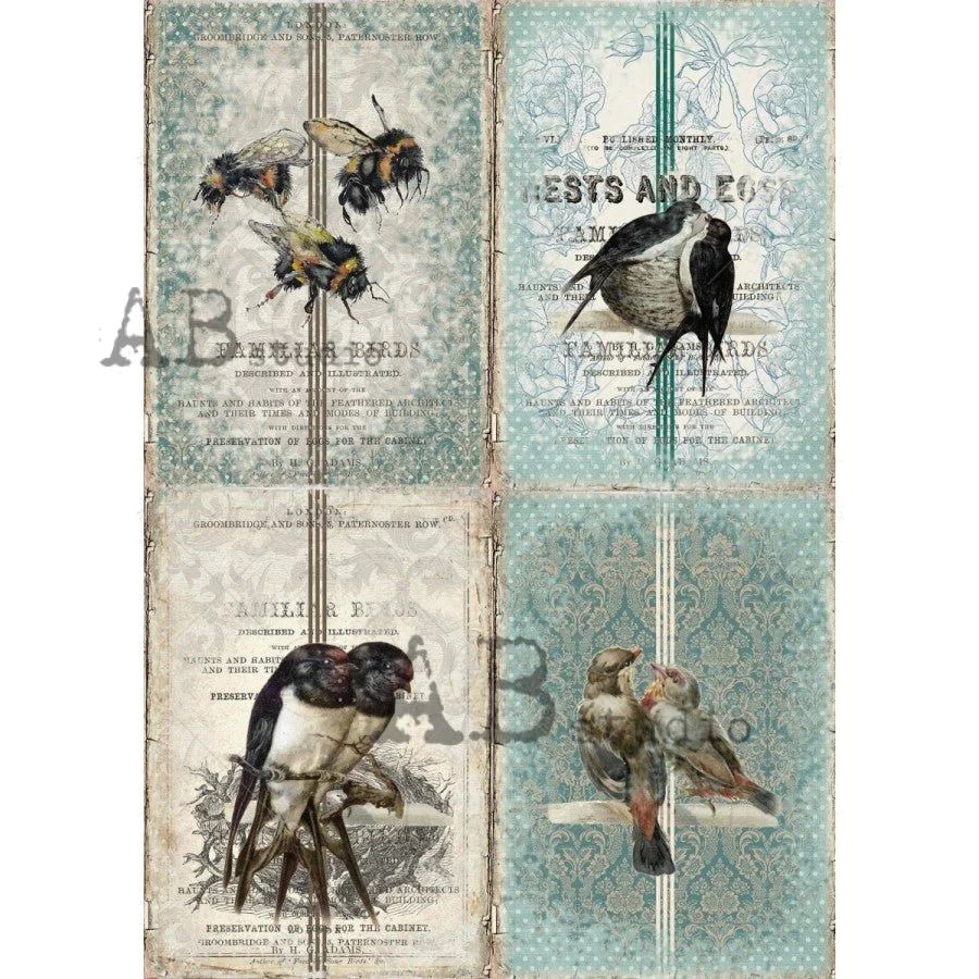 No. 1151 Birds and Bee Vintage Cards Decoupage Rice Paper A4 by AB Studio