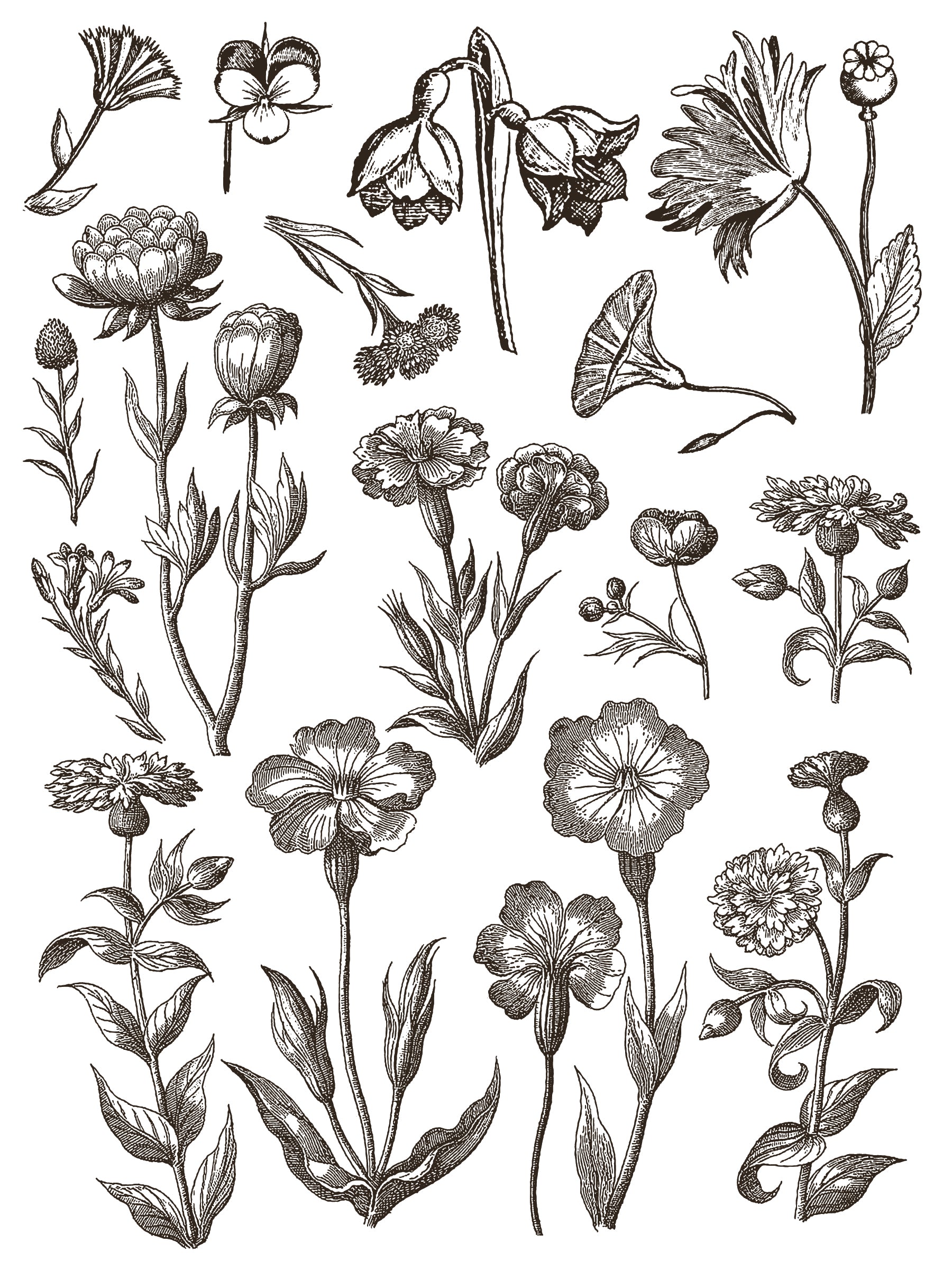 Floriography IOD Paint Inlay 12x16 Pad™