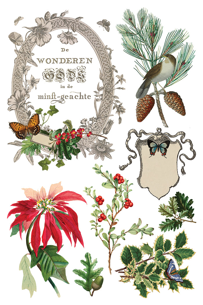 Winter Botanist 8x12 IOD Transfer