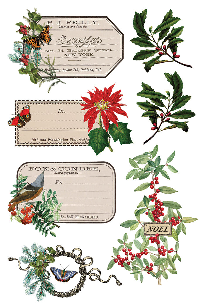 Winter Botanist 8x12 IOD Transfer