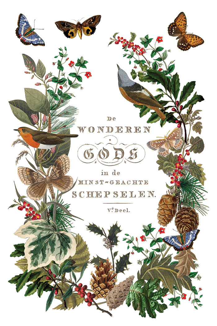 Winter Botanist 8x12 IOD Transfer