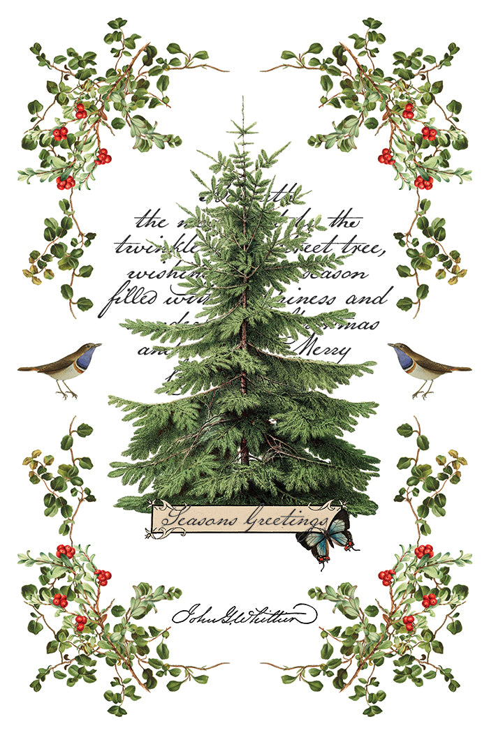 Winter Botanist 8x12 IOD Transfer