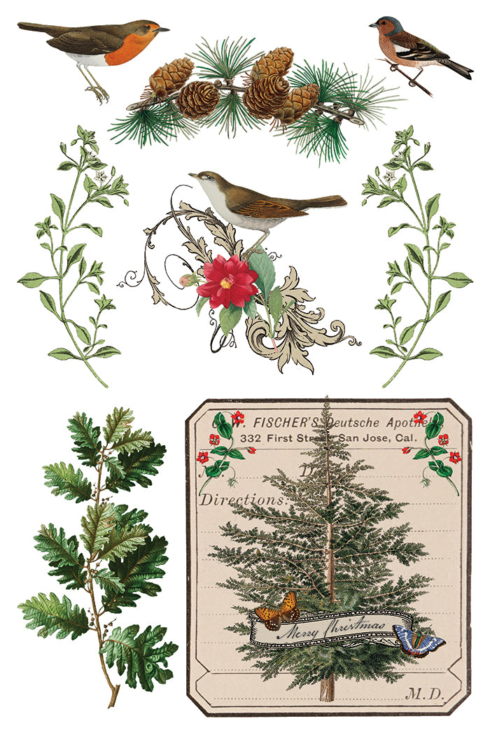 Winter Botanist 8x12 IOD Transfer