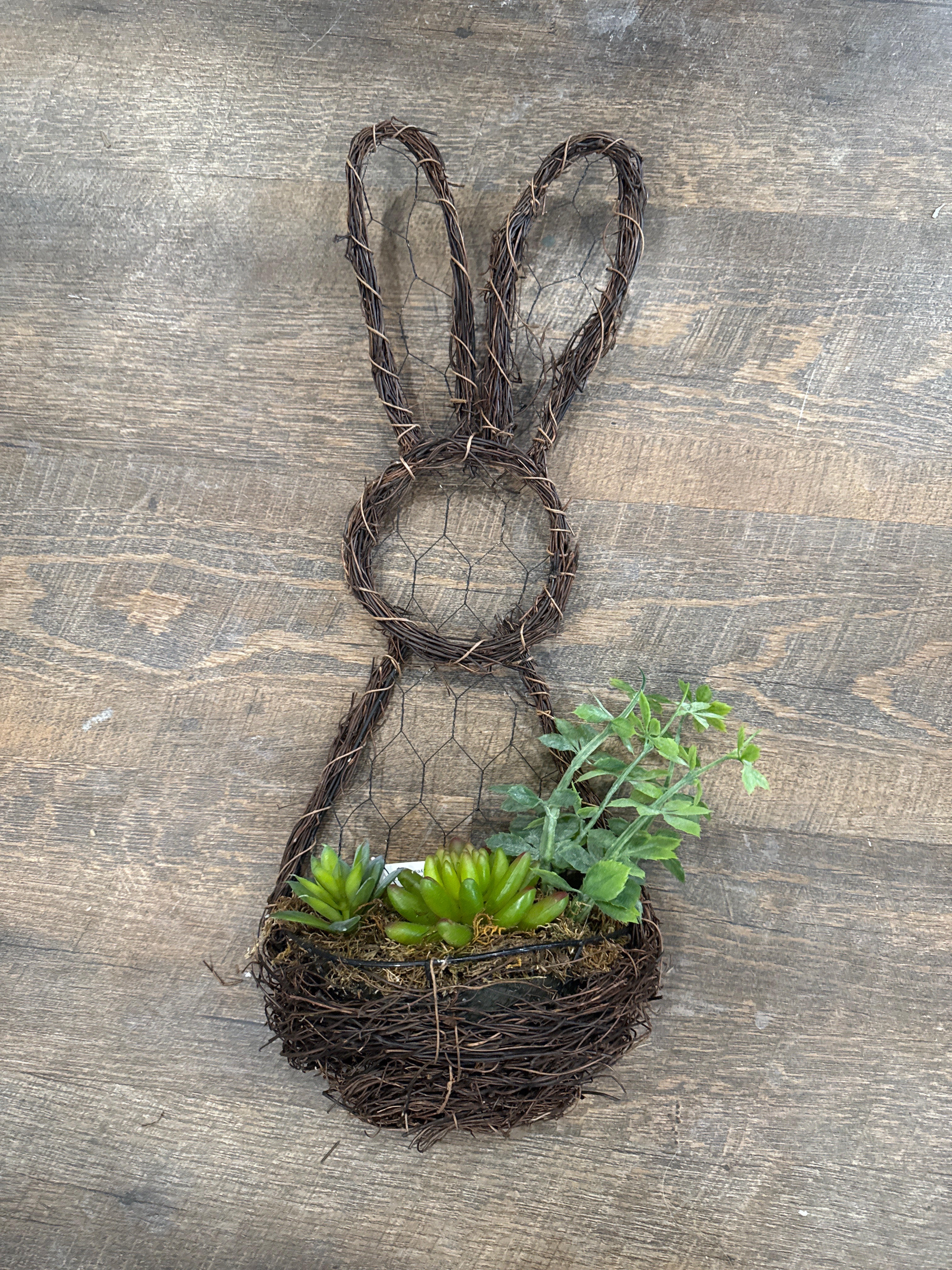 Grapevine Rabbit wall hanging w/ succulents