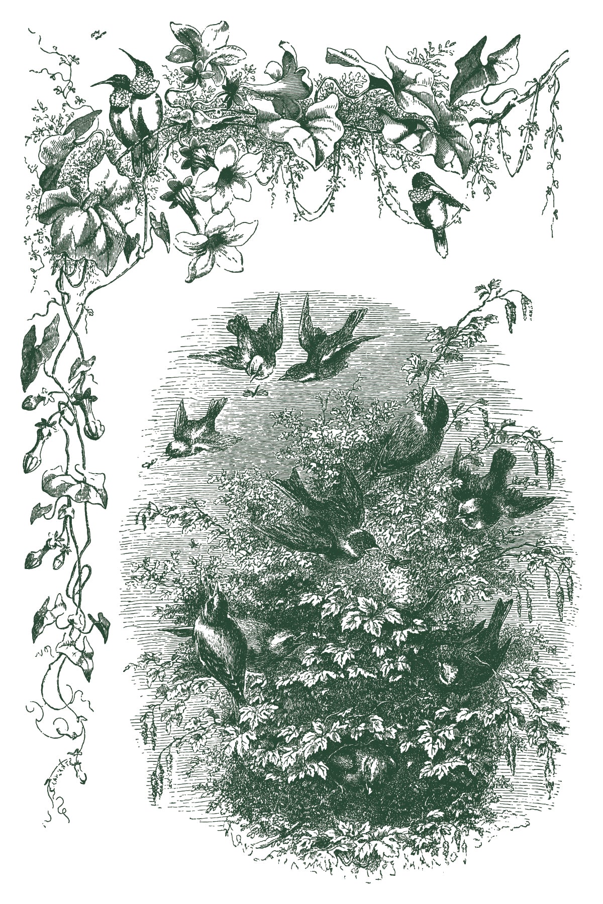 Little Lark | IOD Paint Inlay | 8 Pages | 8"x12"
