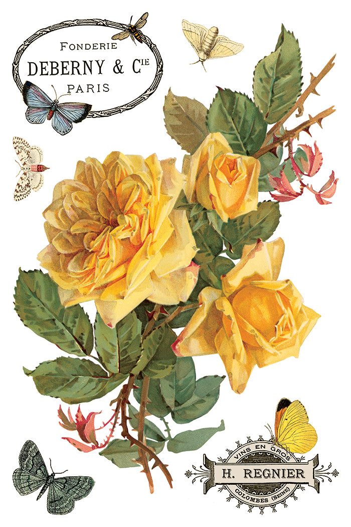 By Any Other Name 8x12 IOD Transfer