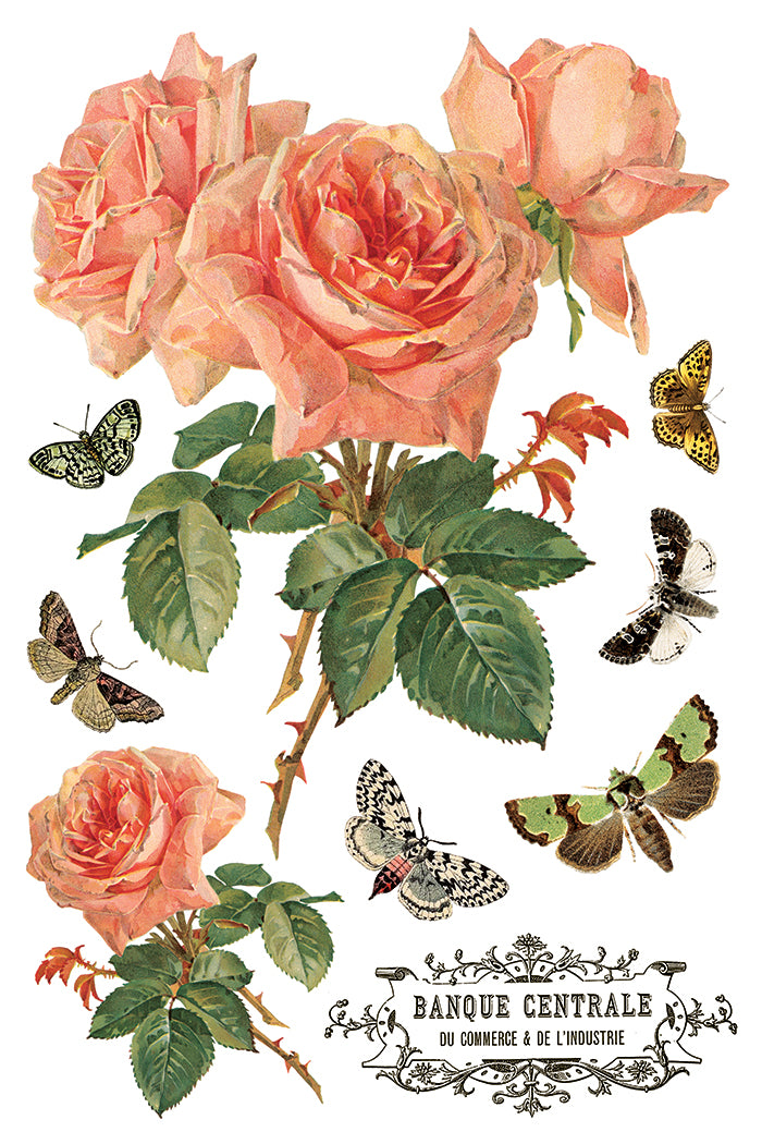 By Any Other Name 8x12 IOD Transfer