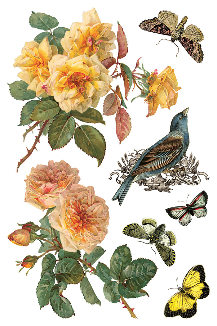 By Any Other Name 8x12 IOD Transfer