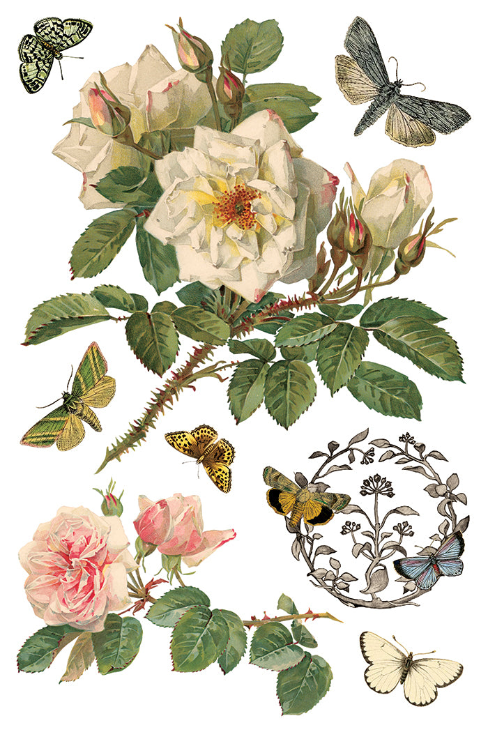 By Any Other Name 8x12 IOD Transfer